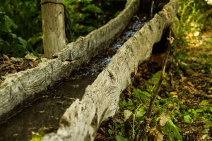 206_Acequia_2449