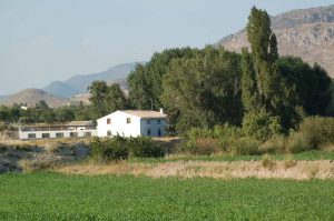 49_Panoramica-de-Molino-del-Paso_329