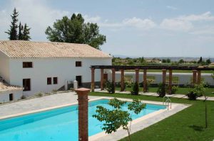49_Piscina-con-Jardin-en-Molino-del-Paso_333