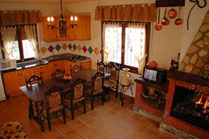 7_Cuevas-del-Torreon-salon-con-chimenea_1874