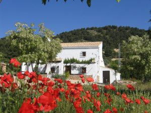 97_Cerro-Fuentes-Nuevas-Cortijo_1076